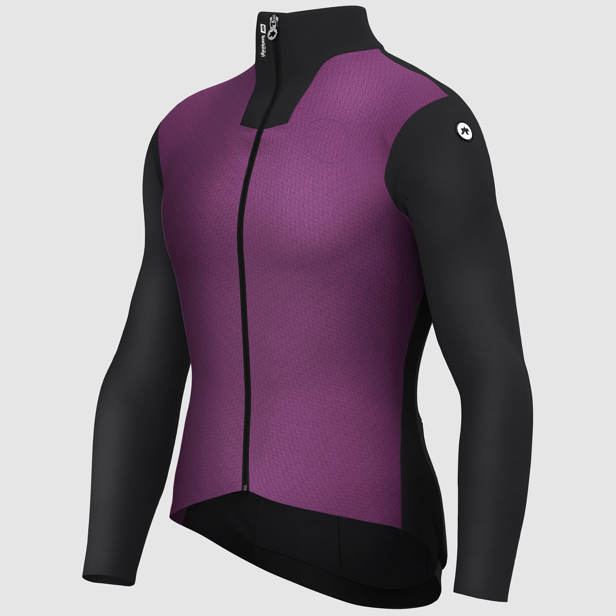 Giacca Assos MILLE GT HASHOOGI Winter S11 - Viola - Q