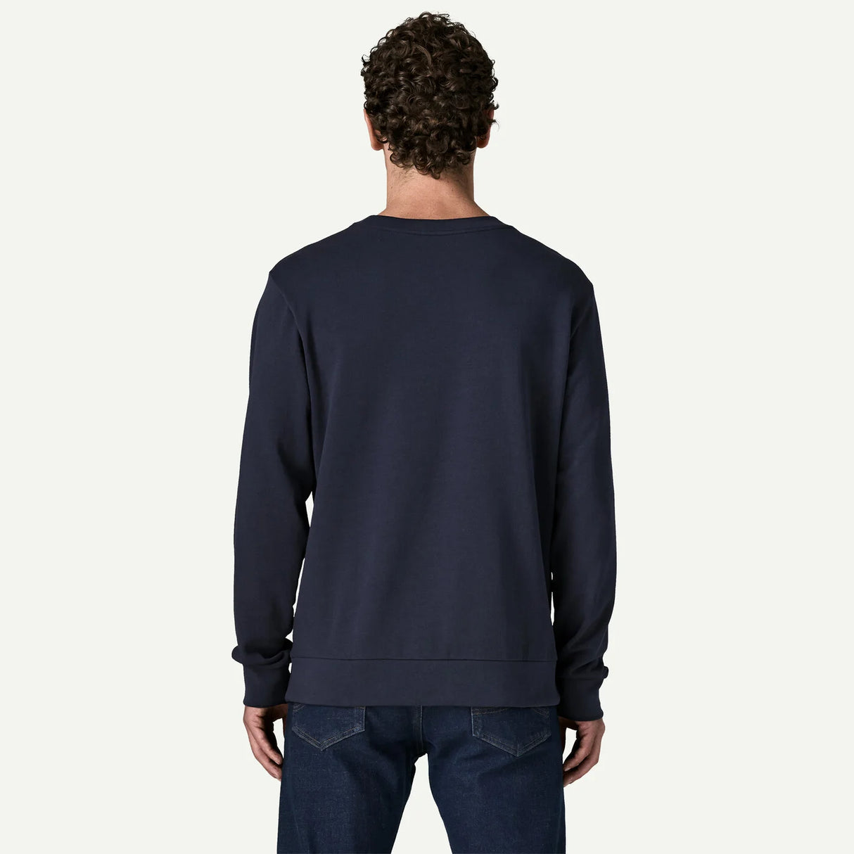 Patagonia Daily Crew Sweatshirt - Blue