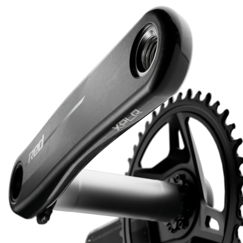 Plato SRAM CRING Road 42T DM X-Sync Negro E1 - Para Bicicletas De Carretera, Talla única