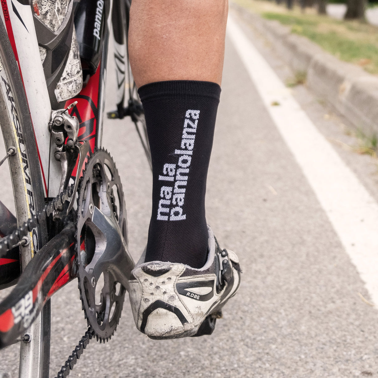 Calze Pannolati Logo - O