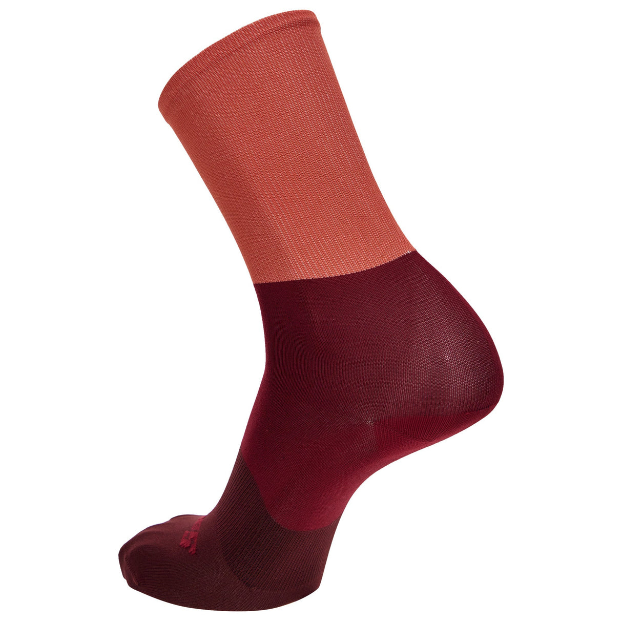 Calze Santini Big Bengal - Bordeaux - P