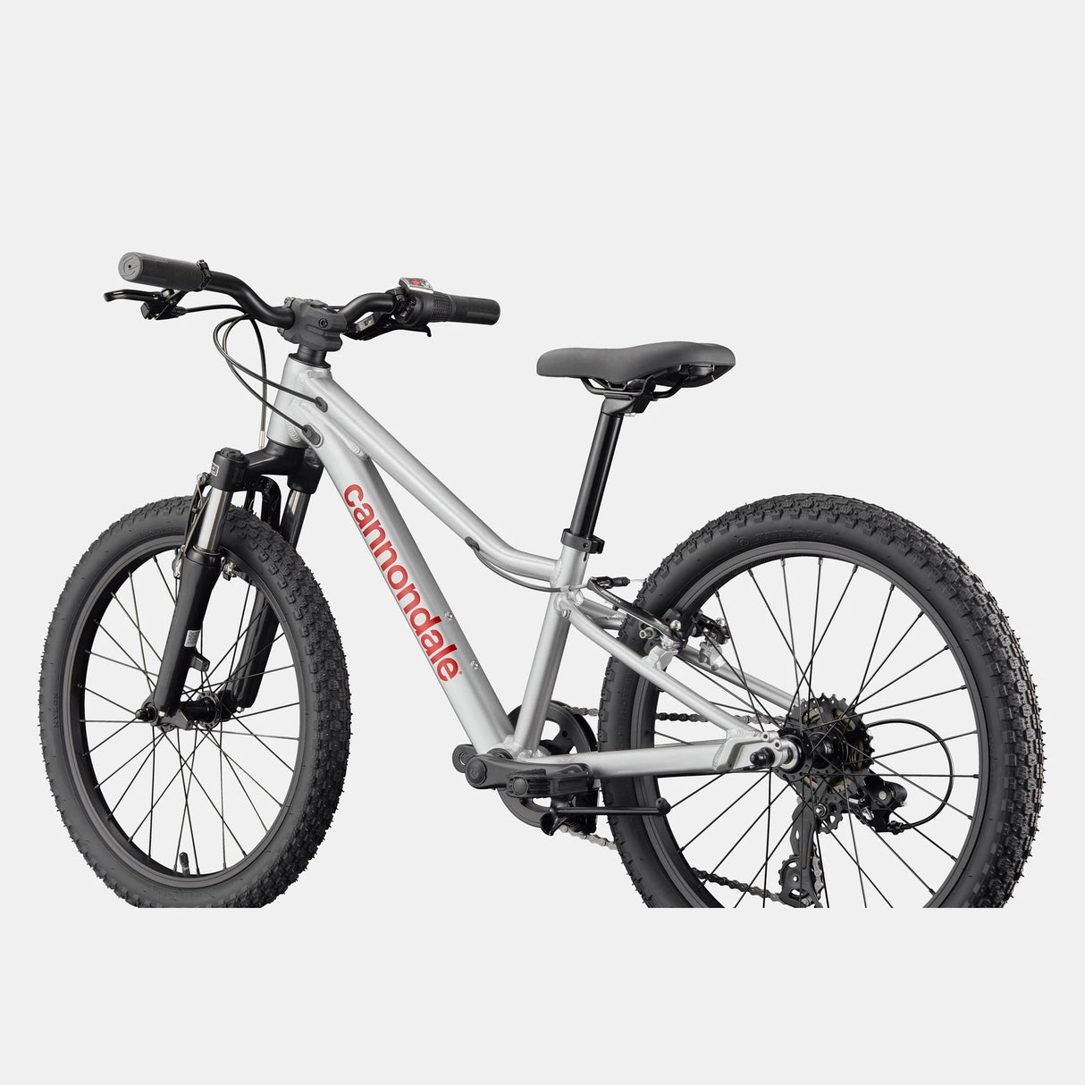 Cannondale Kids Trail 20 - Plata
