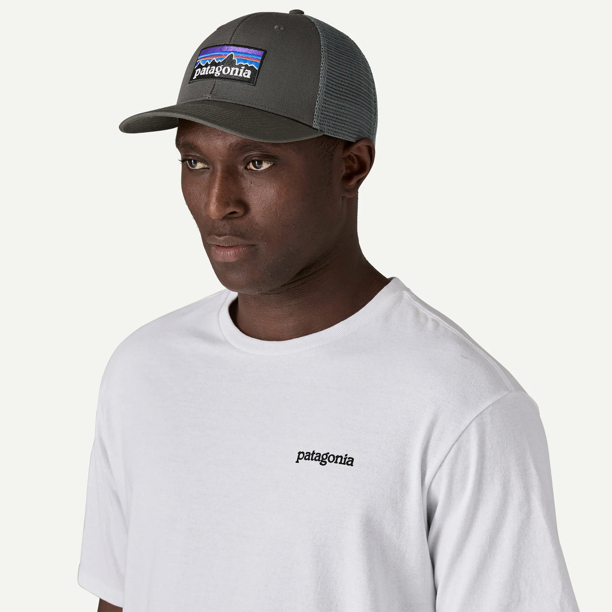 Cappellino Patagonia P-6 Logo Trucker - Grigio Patagonia