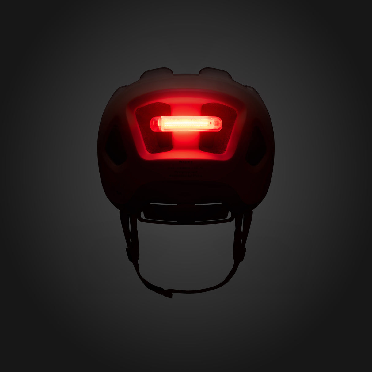 Casco Fizik Kassis - Marrone Fizik