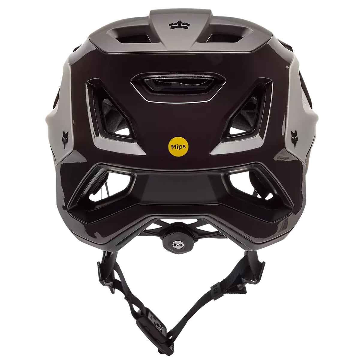 Casco Fox Speedframe RS Paranoid - Marrone scuro Fox