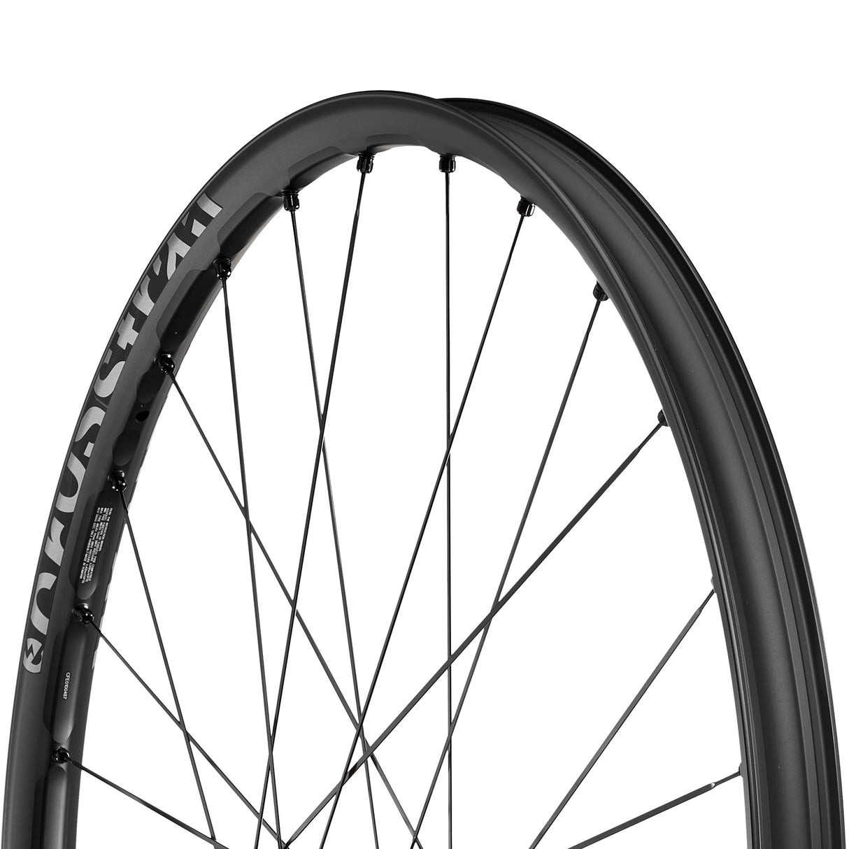 Ruote Mavic E-Crosstrail SL 29 Boost CL - Nero - I