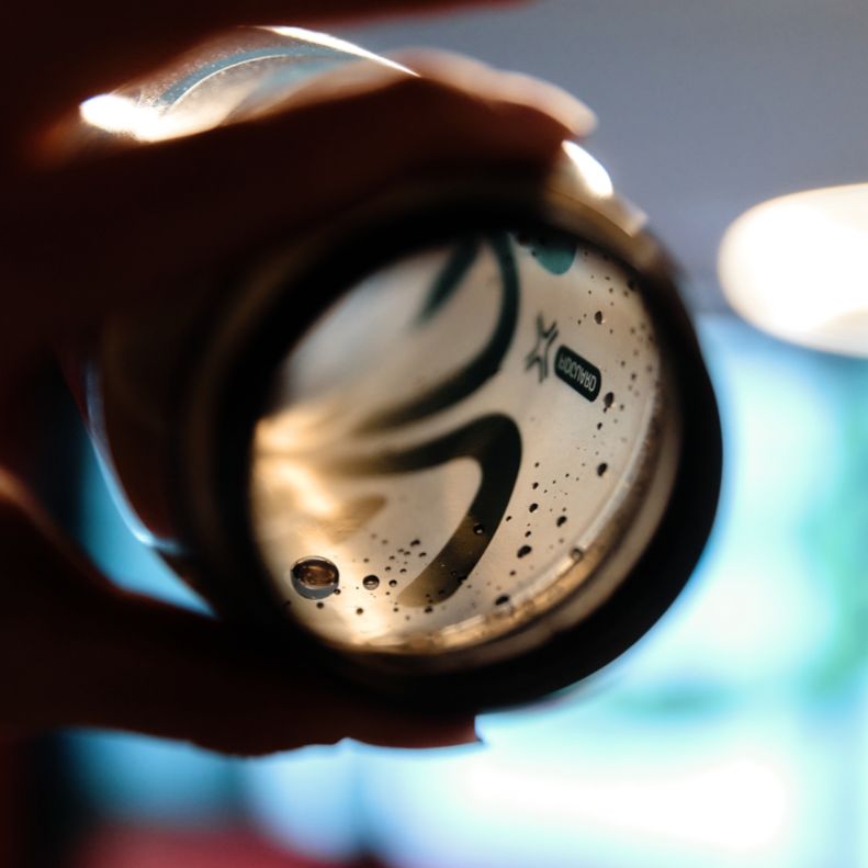 Borraccia Fidlock FIDGUARD 600 antibacterial - Grigio verde - A