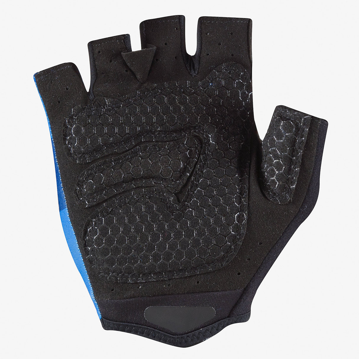 Guanti Giro d'Italia 2025 - Azzurro Castelli