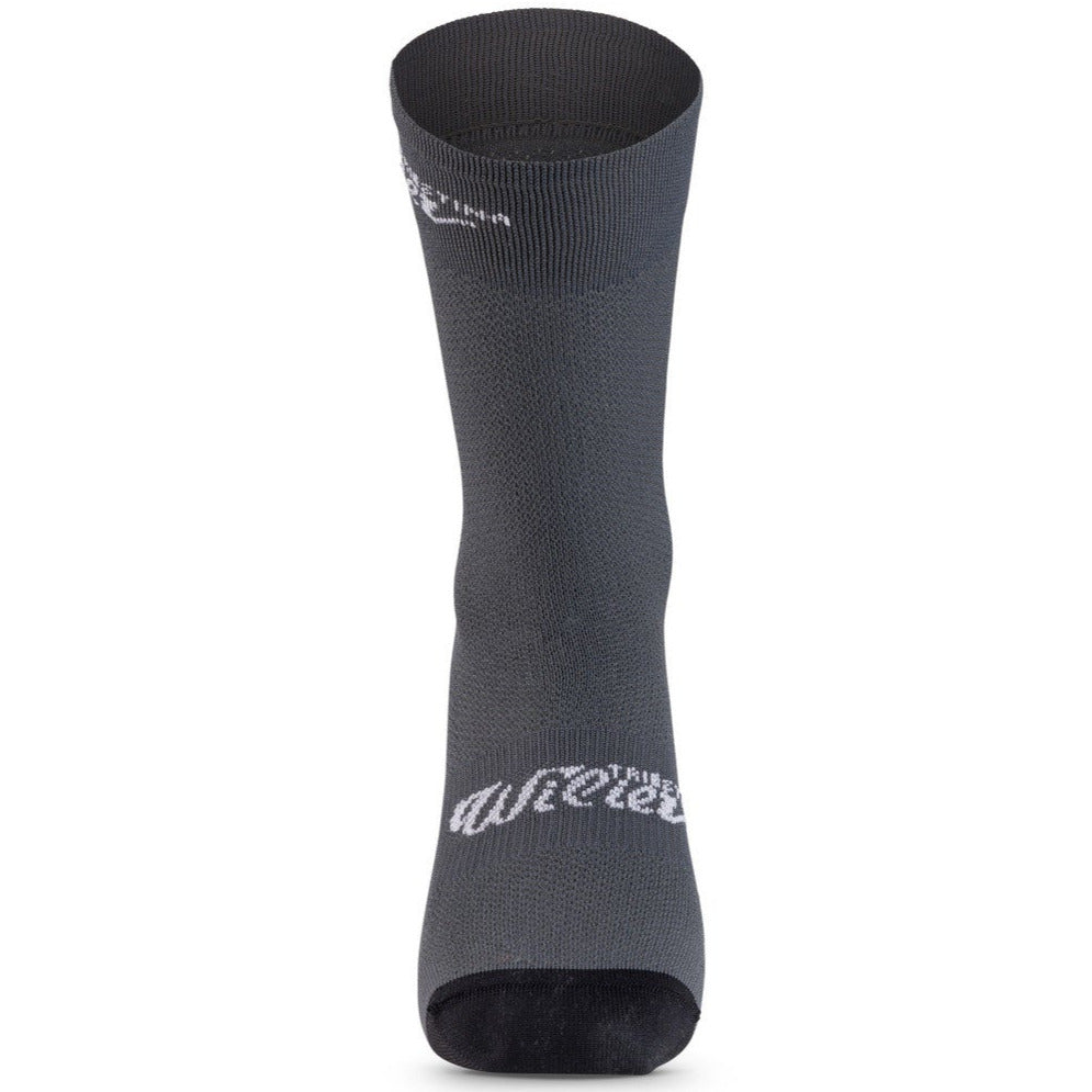 Calze Wilier Aurora - Grigio - P