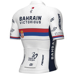 Ale Bahrain Victorious 2024 jersey - Serbian Champion