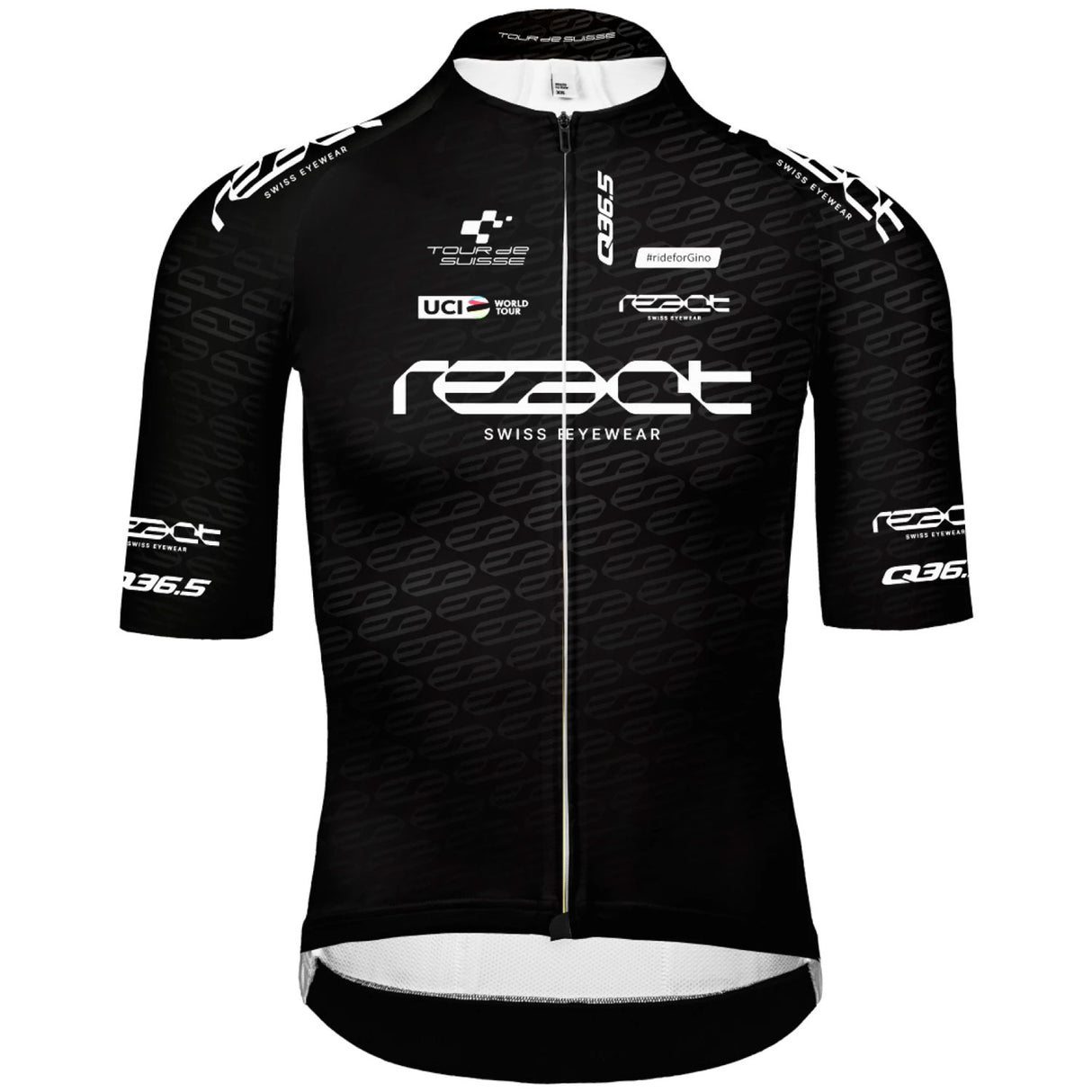 Maglia Q36.5 Tour de Suisse 2024 Gregarius Pro - Points - G