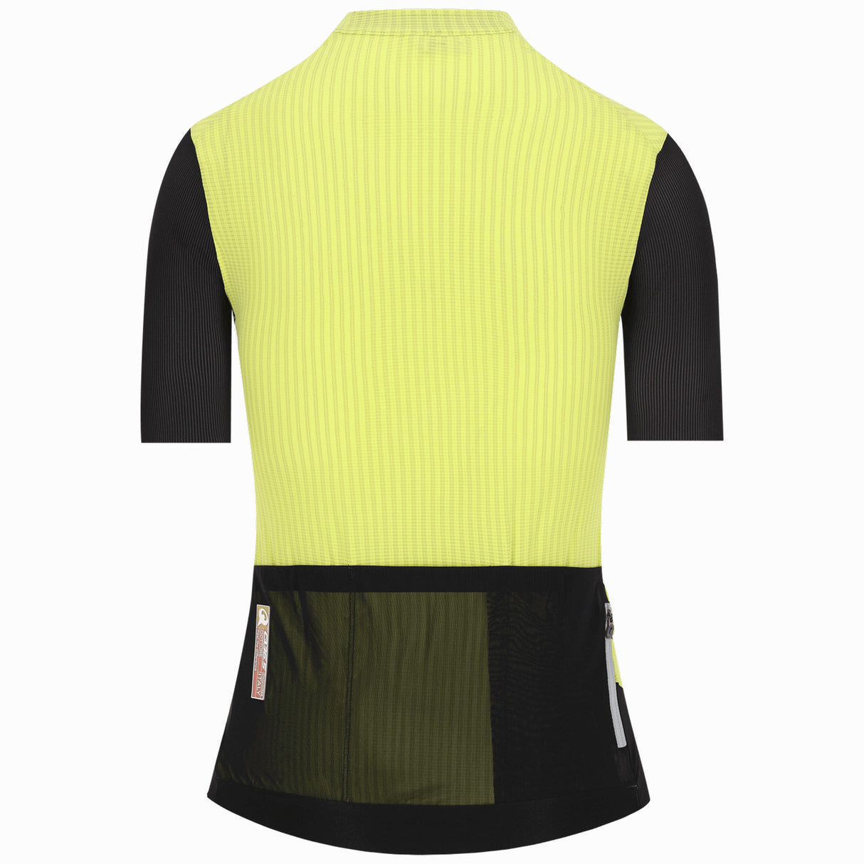 Q36.5 Dottore Clima women jersey - Green