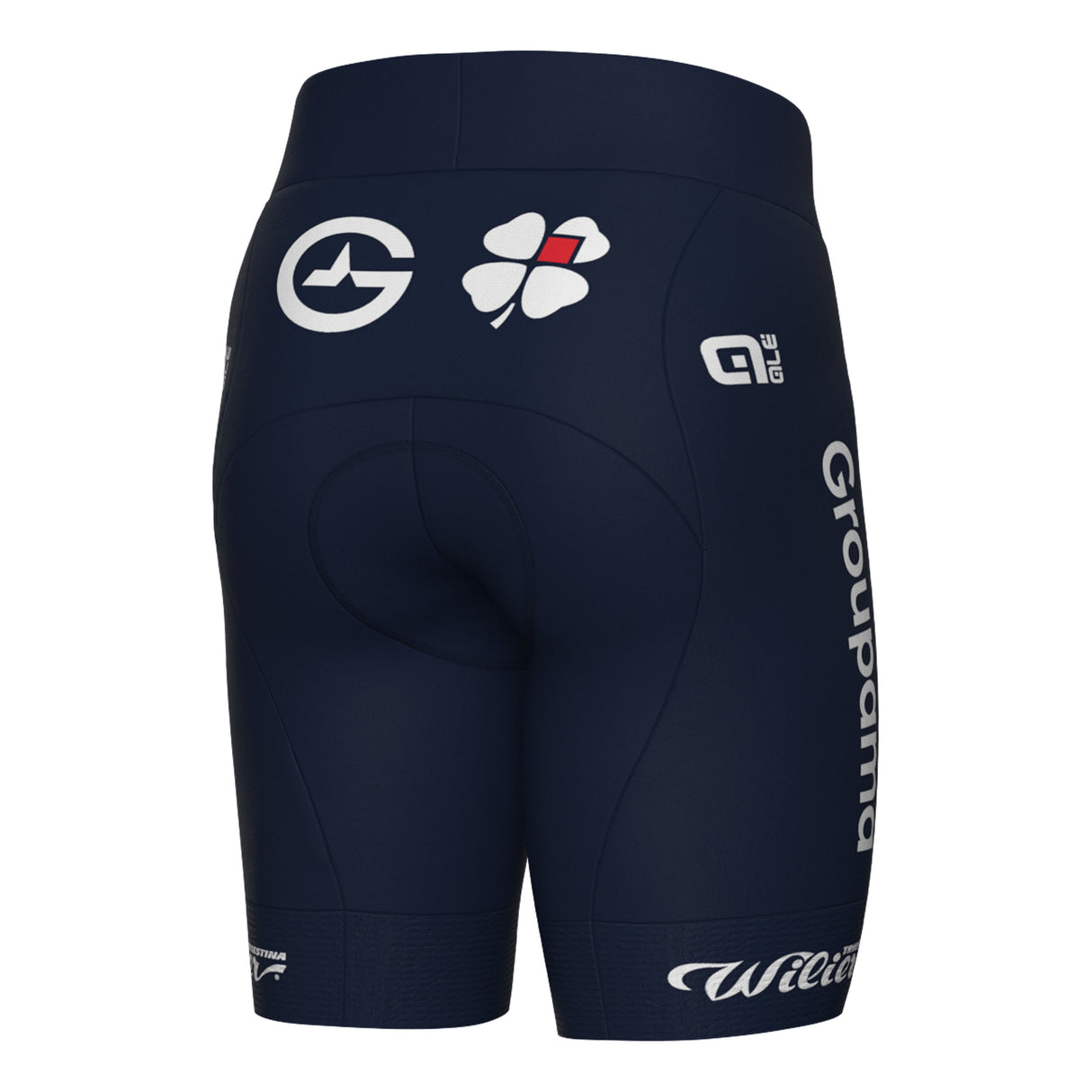 Pantaloncini Ale Groupama FDJ 2025 - Bambino - C