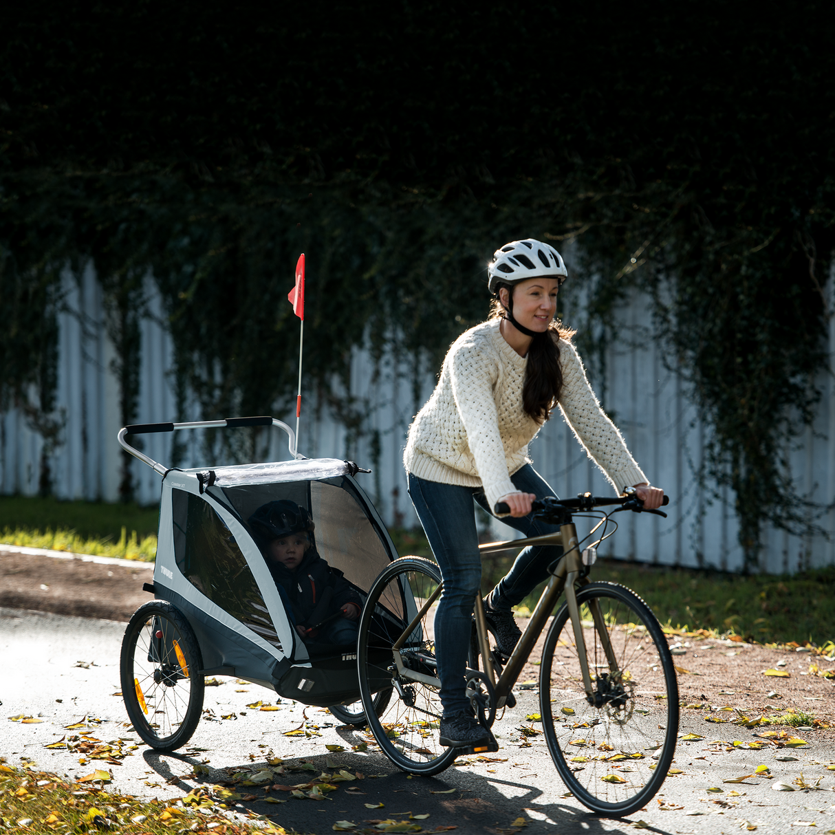 Fahrradanhänger Thule Coaster XT - Blau