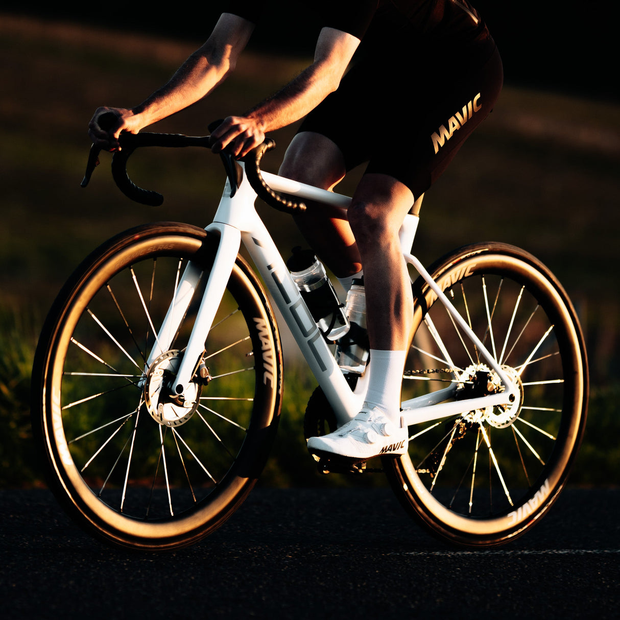 Ruote Mavic Cosmic SLR 45 Disc - Argento Mavic