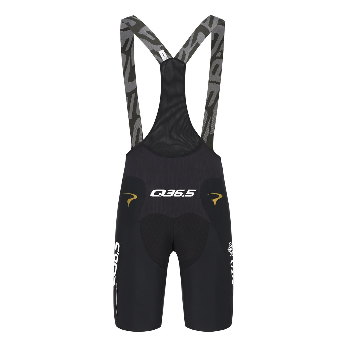 Culotte Pinarello-Q36.5 Pro Cycling Team 2026 Gregarius