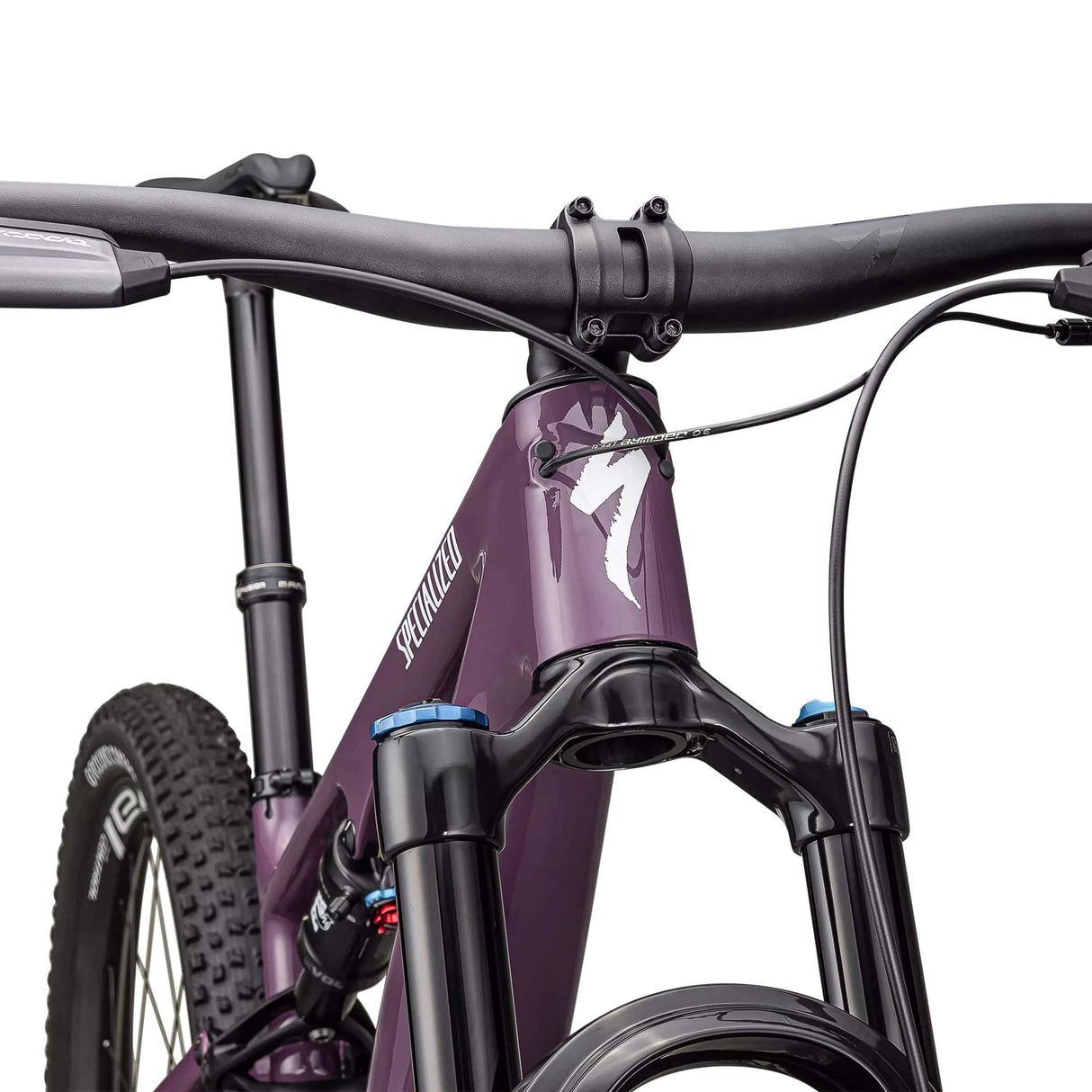 Specialized Epic 8 EVO Expert - Viola