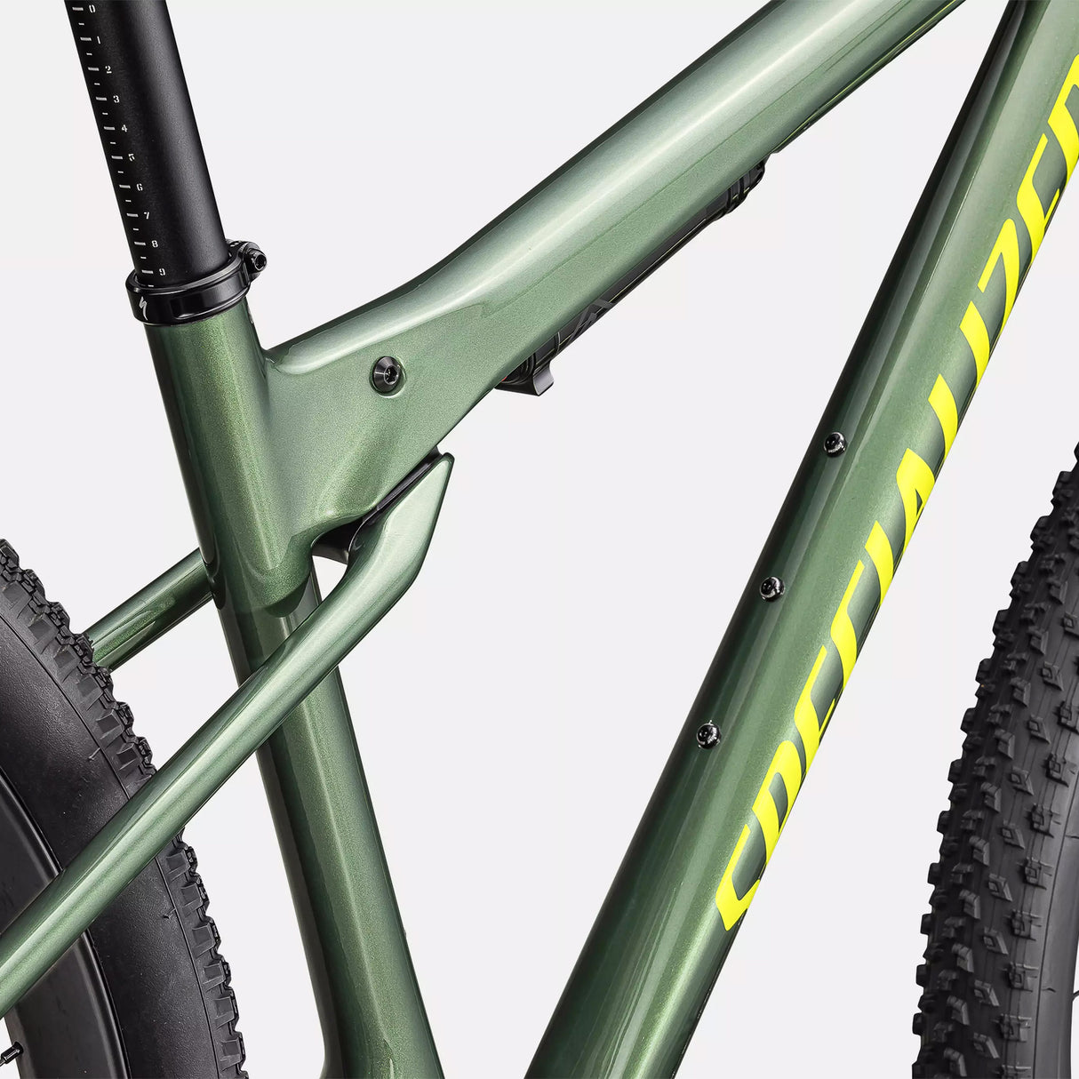 Specialized Epic World Cup Expert - Verde - O
