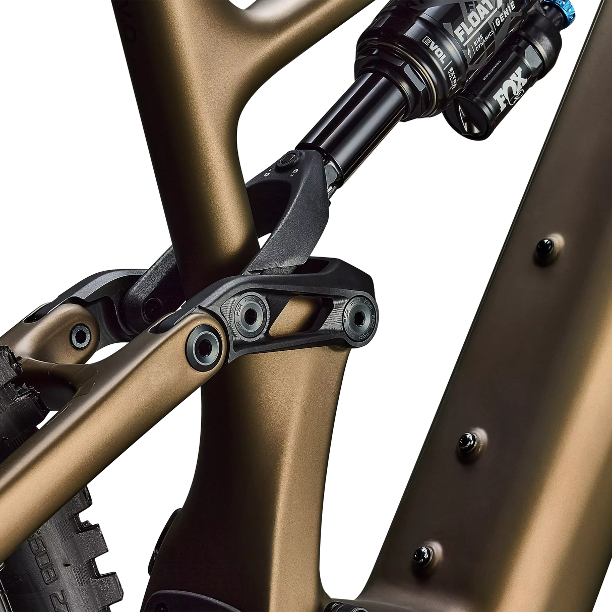 Specialized Turbo Levo 4 Expert - Marrone - B