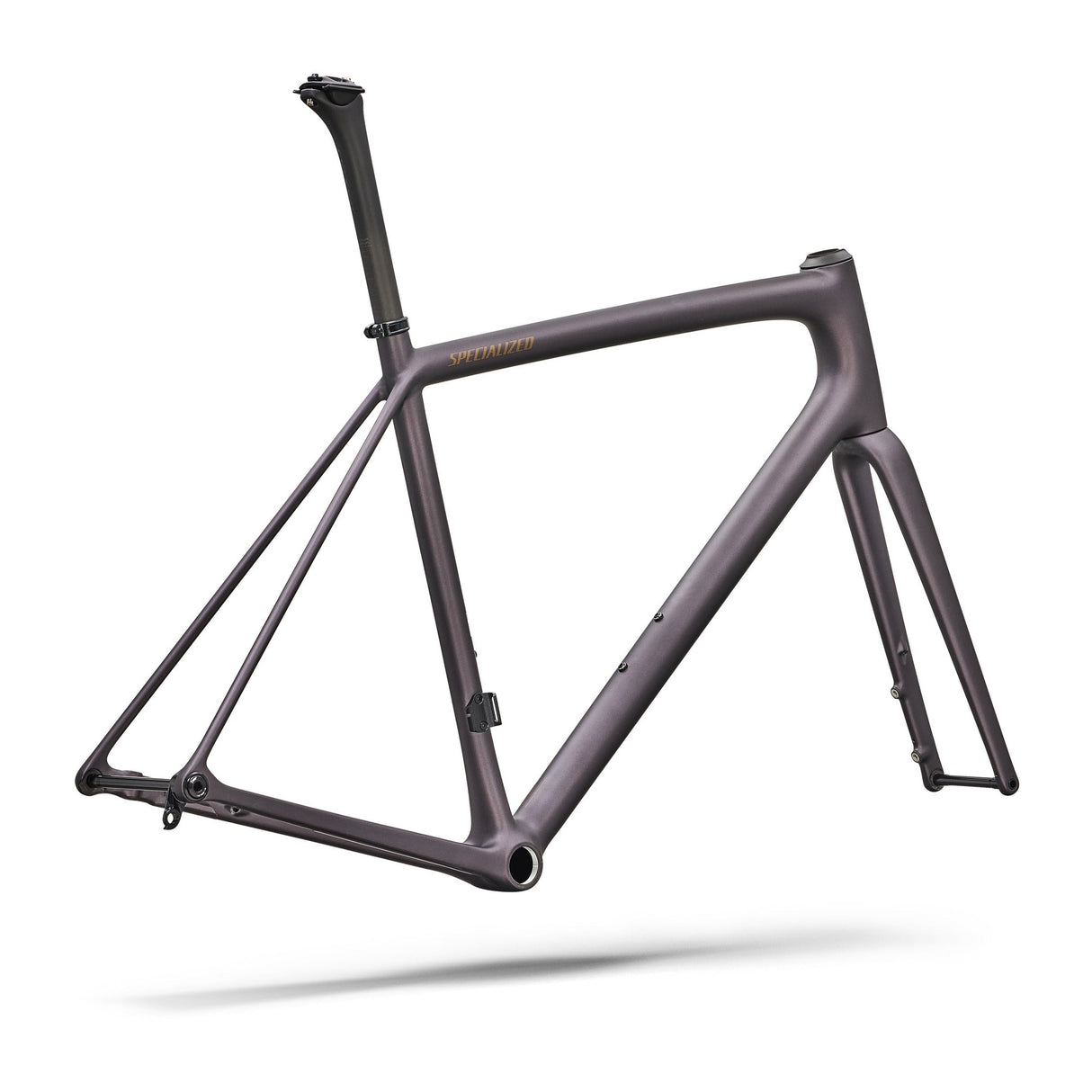 Cuadro Specialized Aethos 2 - Violeta