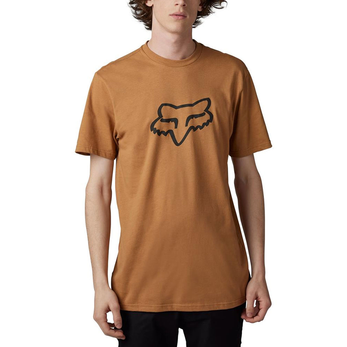 T-Shirt Fox Legacy Head - Marrone - H