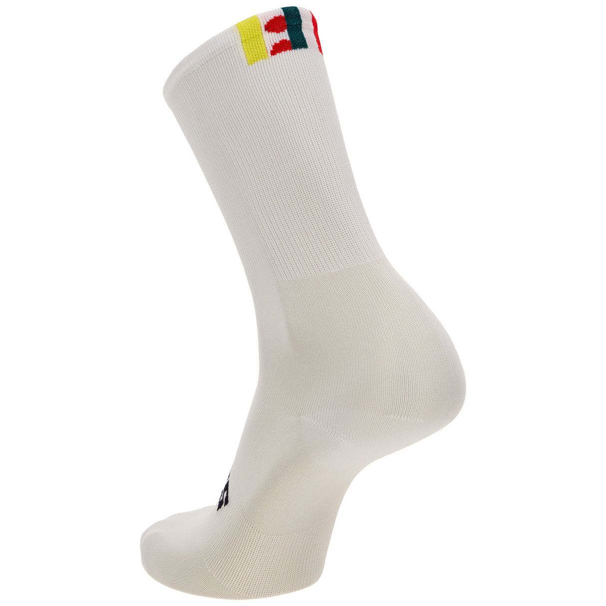 Calze Santini Tour de France 2024 - Combo - N