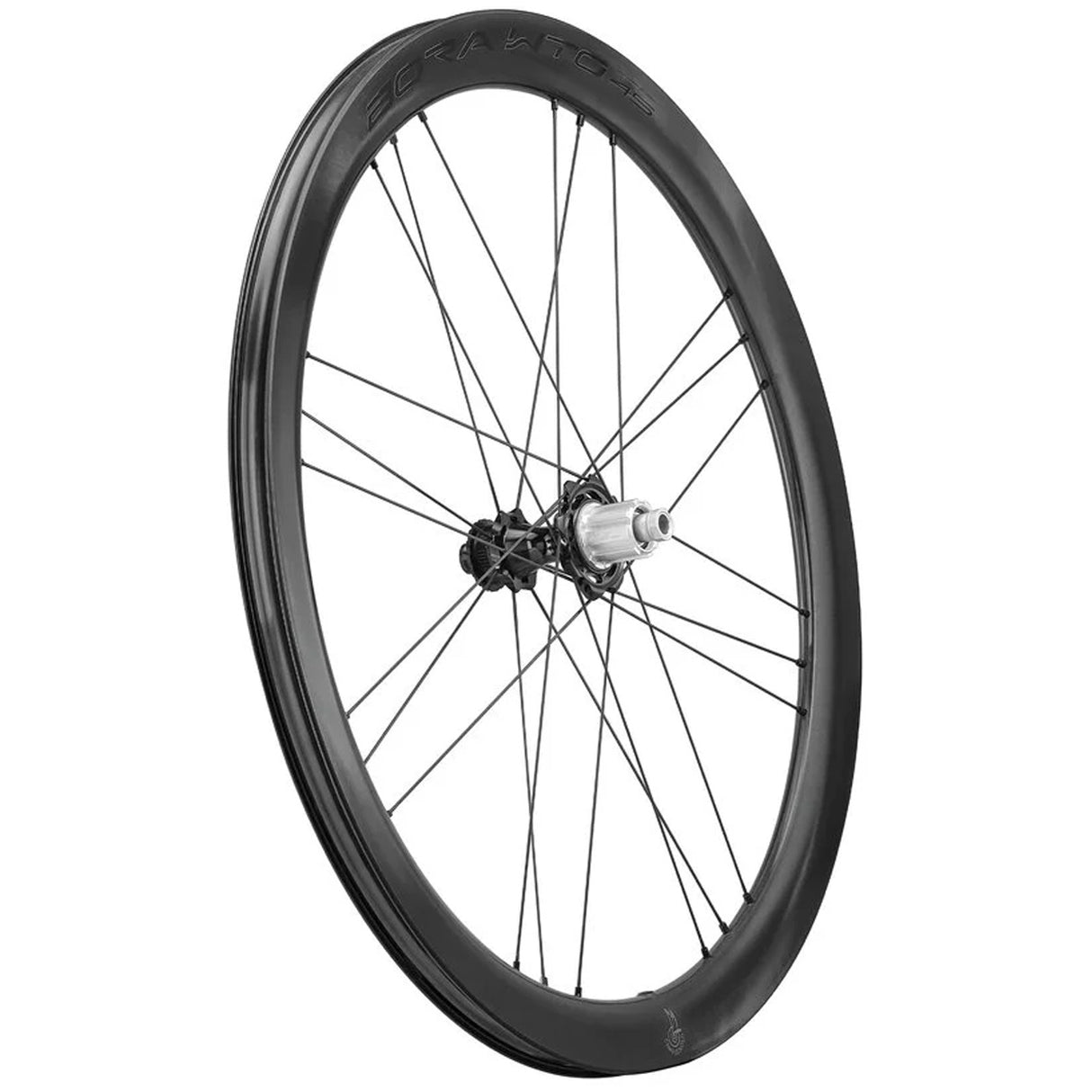 Ruote Campagnolo Bora WTO 45 DB 2wf c23 - E