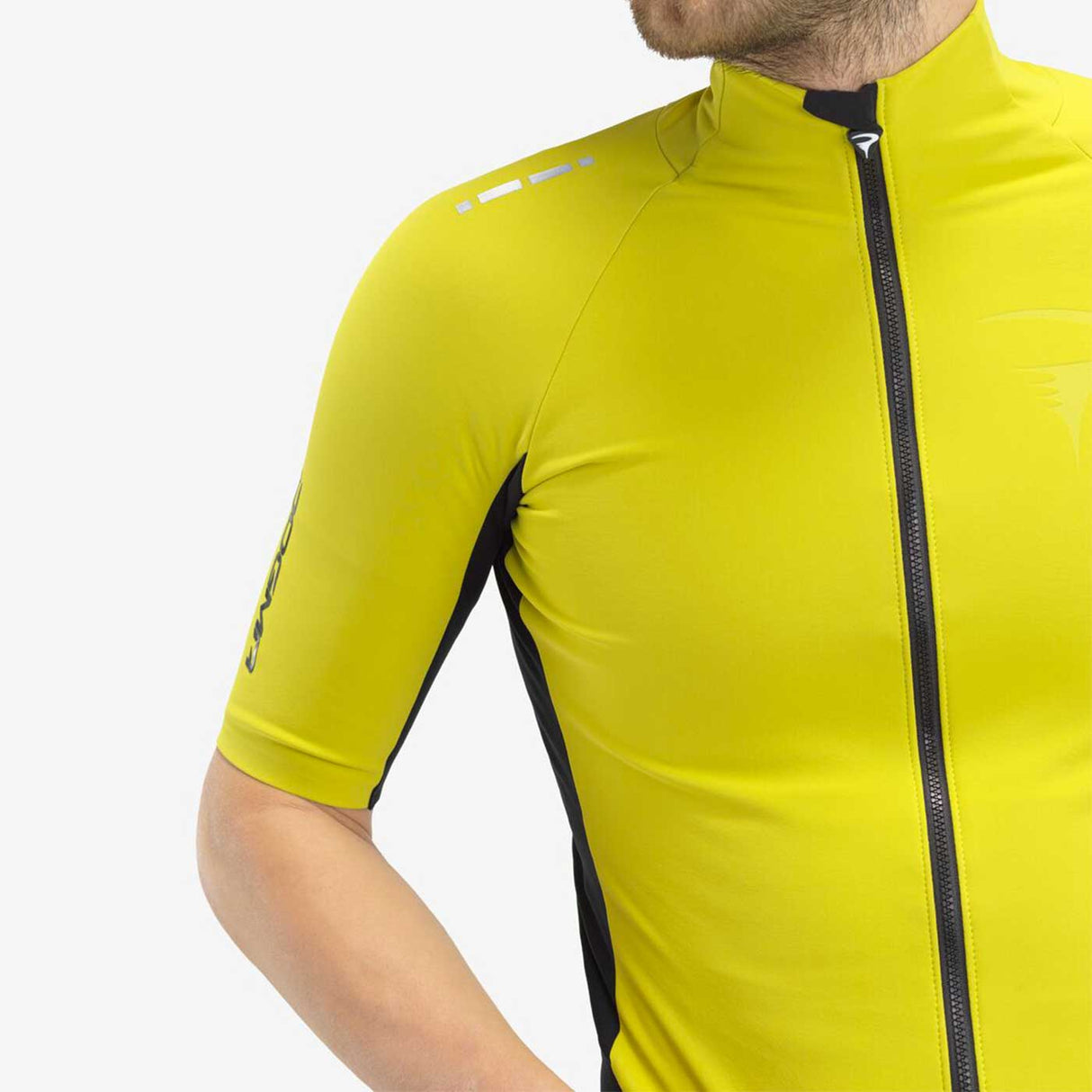 Maglia Pinarello Dogma Winter - Verde - F