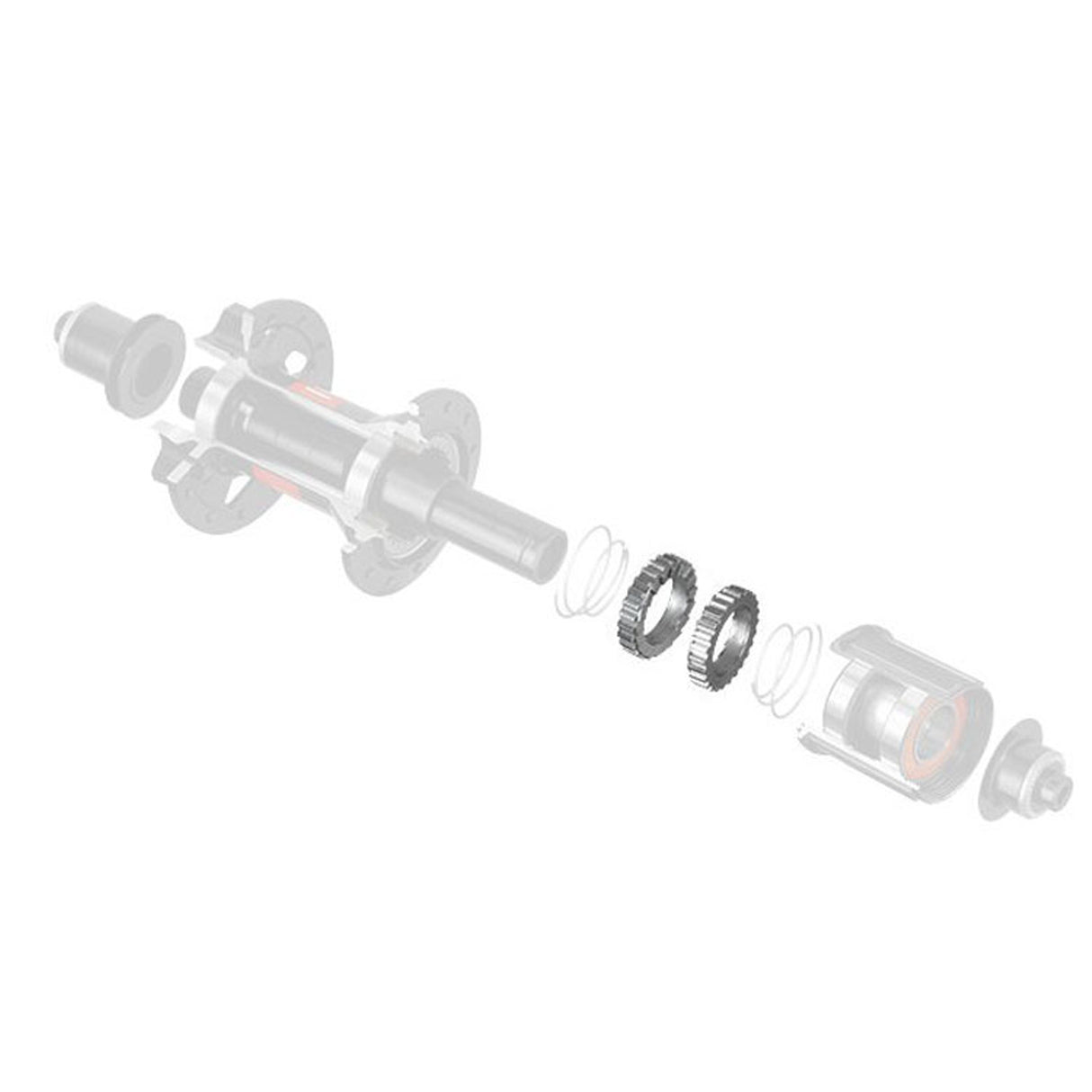 Kit manutenzione Dt Swiss Ratchet System SL 54T - L