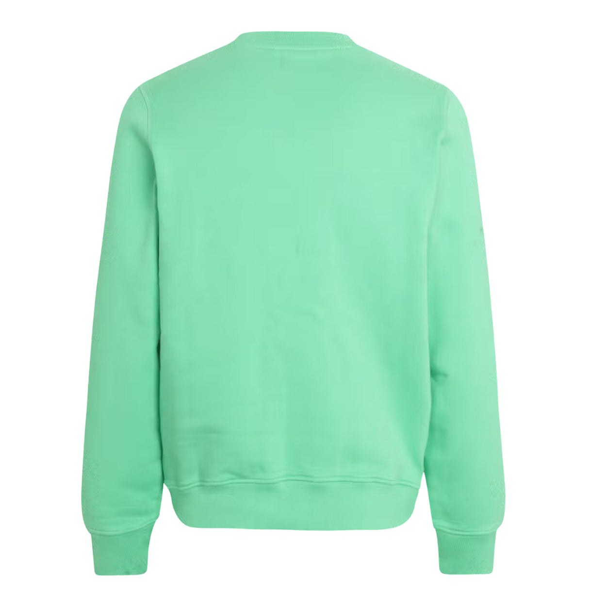 Felpa Pas Normal Studios Logo - Verde chiaro - H