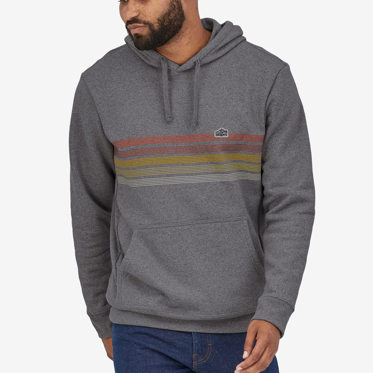 Felpa Patagonia Line Logo Ridge Stripe - Grigio - B