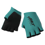 Ale VF Group - Bardiani CSF - Faizane 2024 gloves