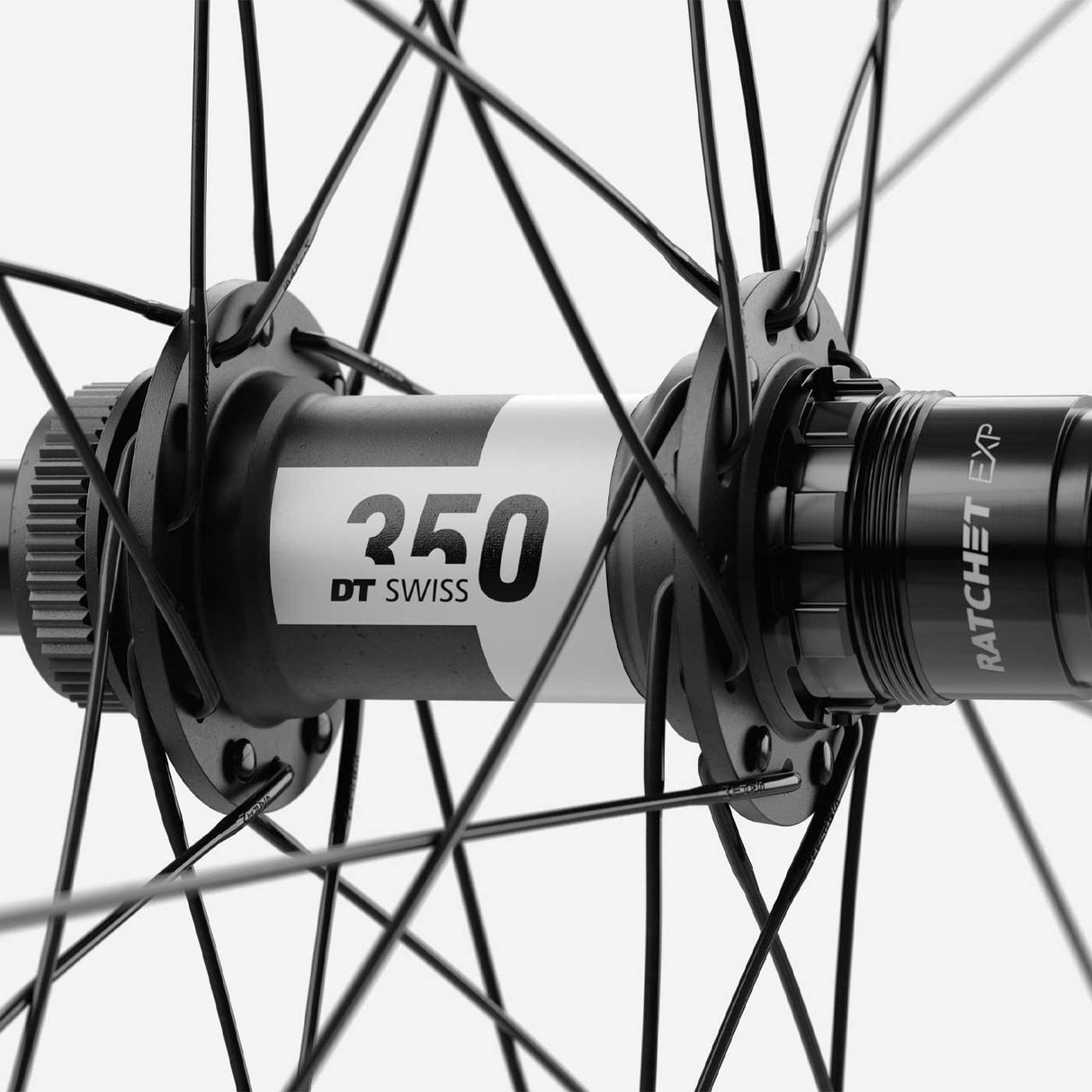 Ruote Oquo MP30TEAM Sram XD - Nero - D