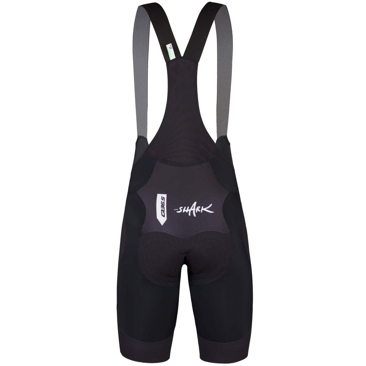 Salopette Q36.5 Gregarius - Nibali Shark - D