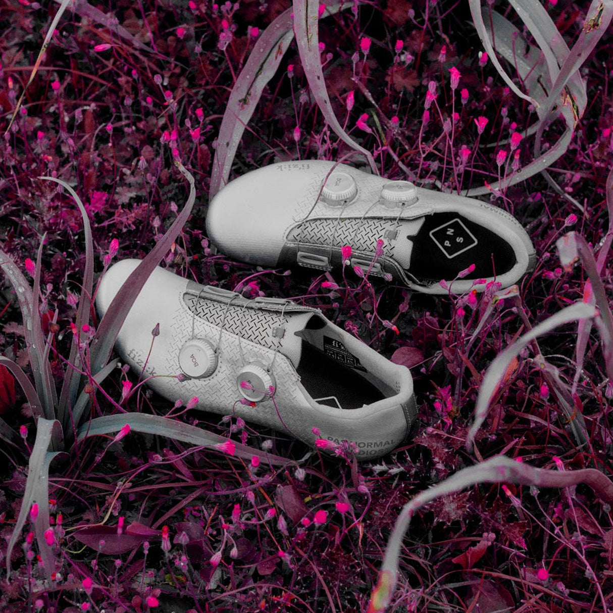 Scarpe Pas Normal Studio Mechanism x Fizik - Argento - D