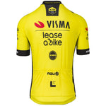 Agu Team Visma Lease jersey to bike 2024