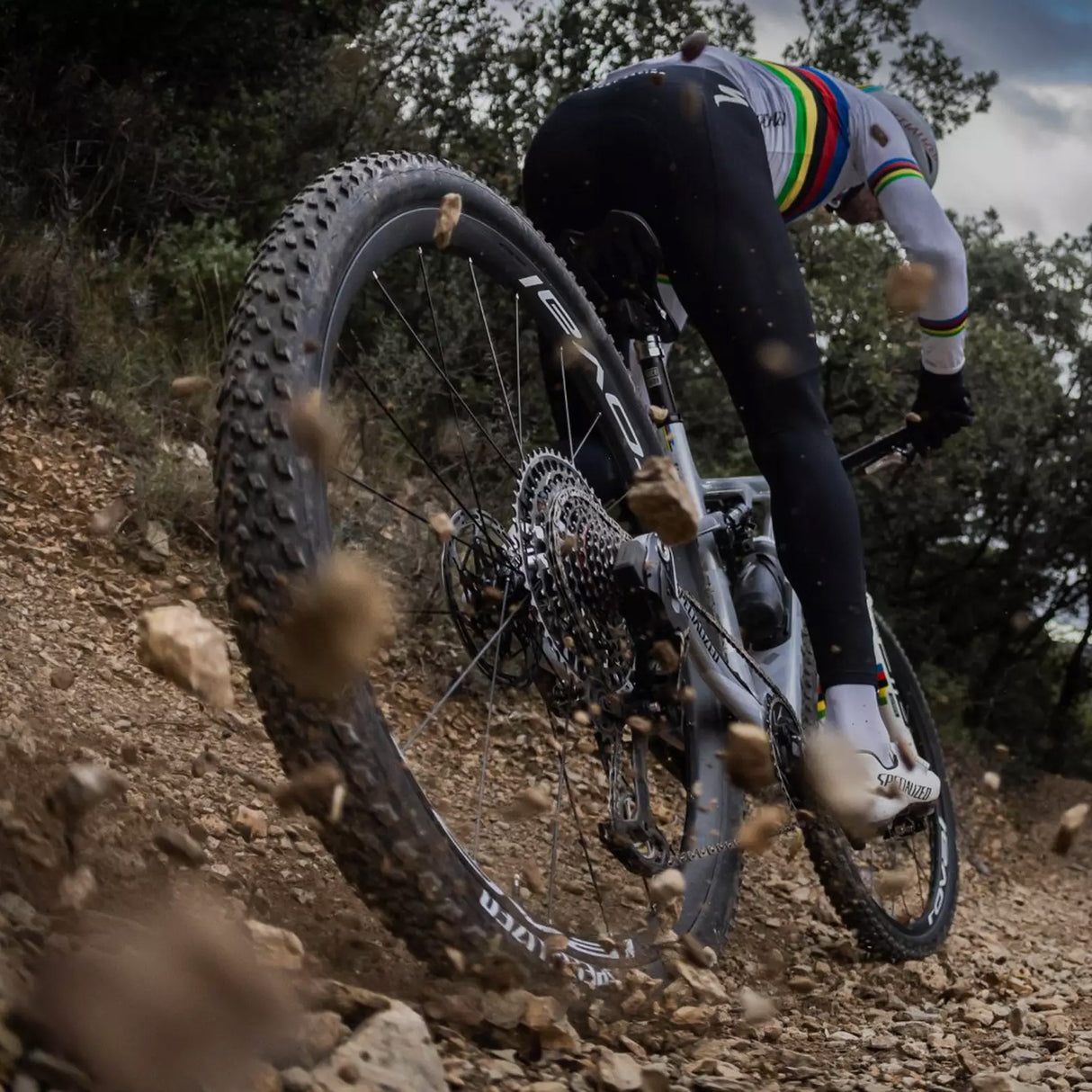 Ruota Roval Control World Cup anteriore - Nero - E