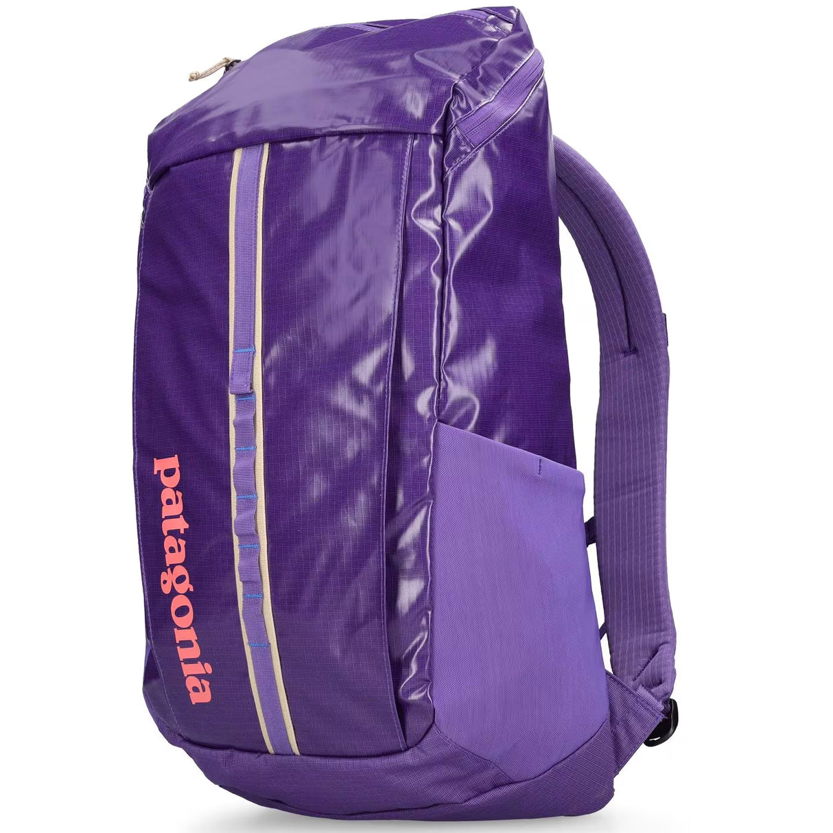 Zaino Patagonia Black Hole Pack 25L - Viola - M