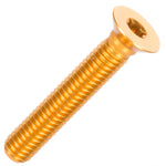 Carbon-Ti X-Cap TORX replacement screw - Gold