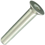 Carbon-Ti X-Cap TORX replacement screw - Silver