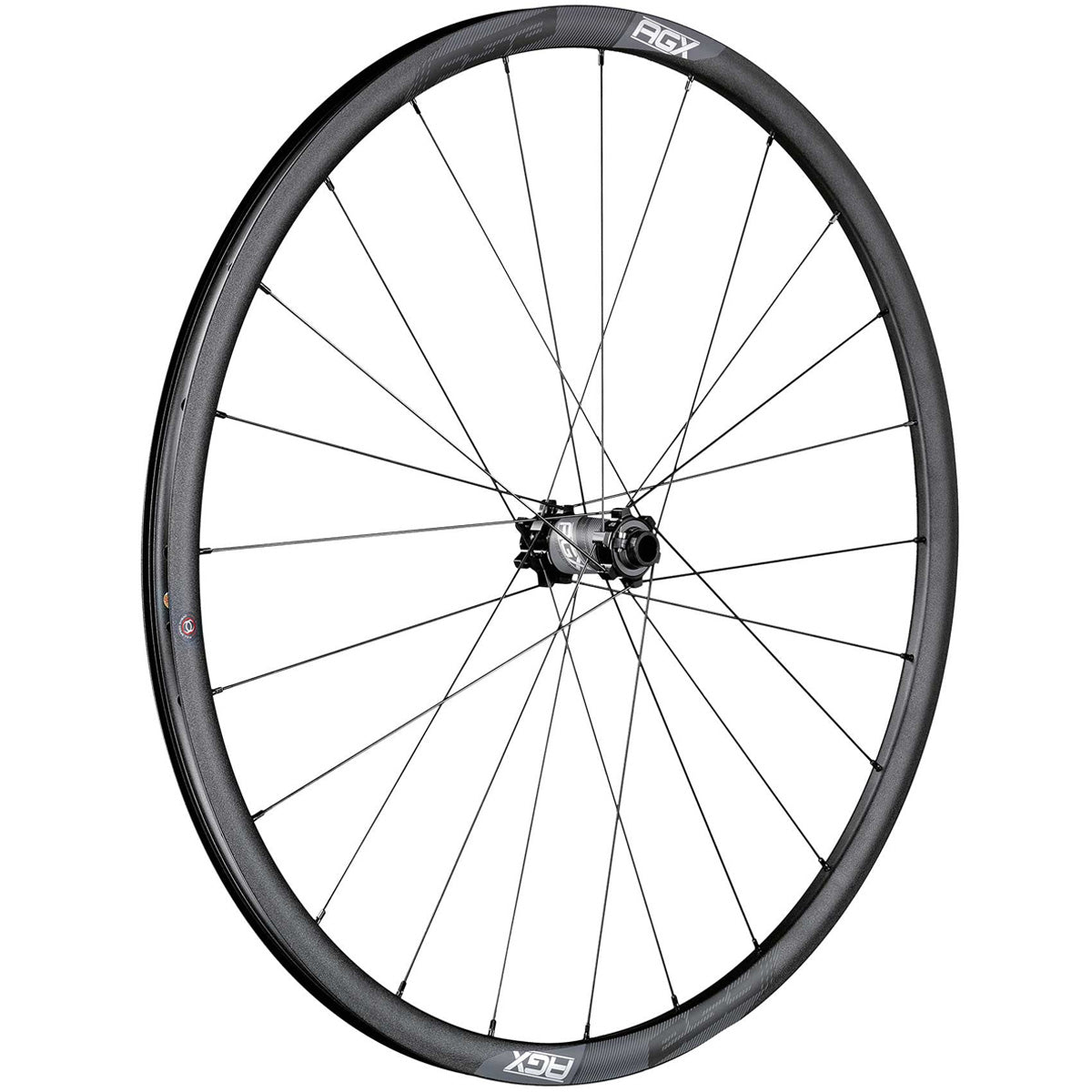 FSA AGX 21 完組ホイール ディスクブレーキ FSA AGX 21 完組ホイール ディスクブレーキ