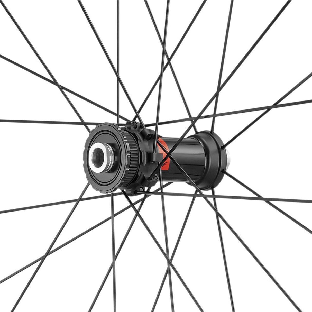 Ruote Fulcrum Speed 25 DB - B