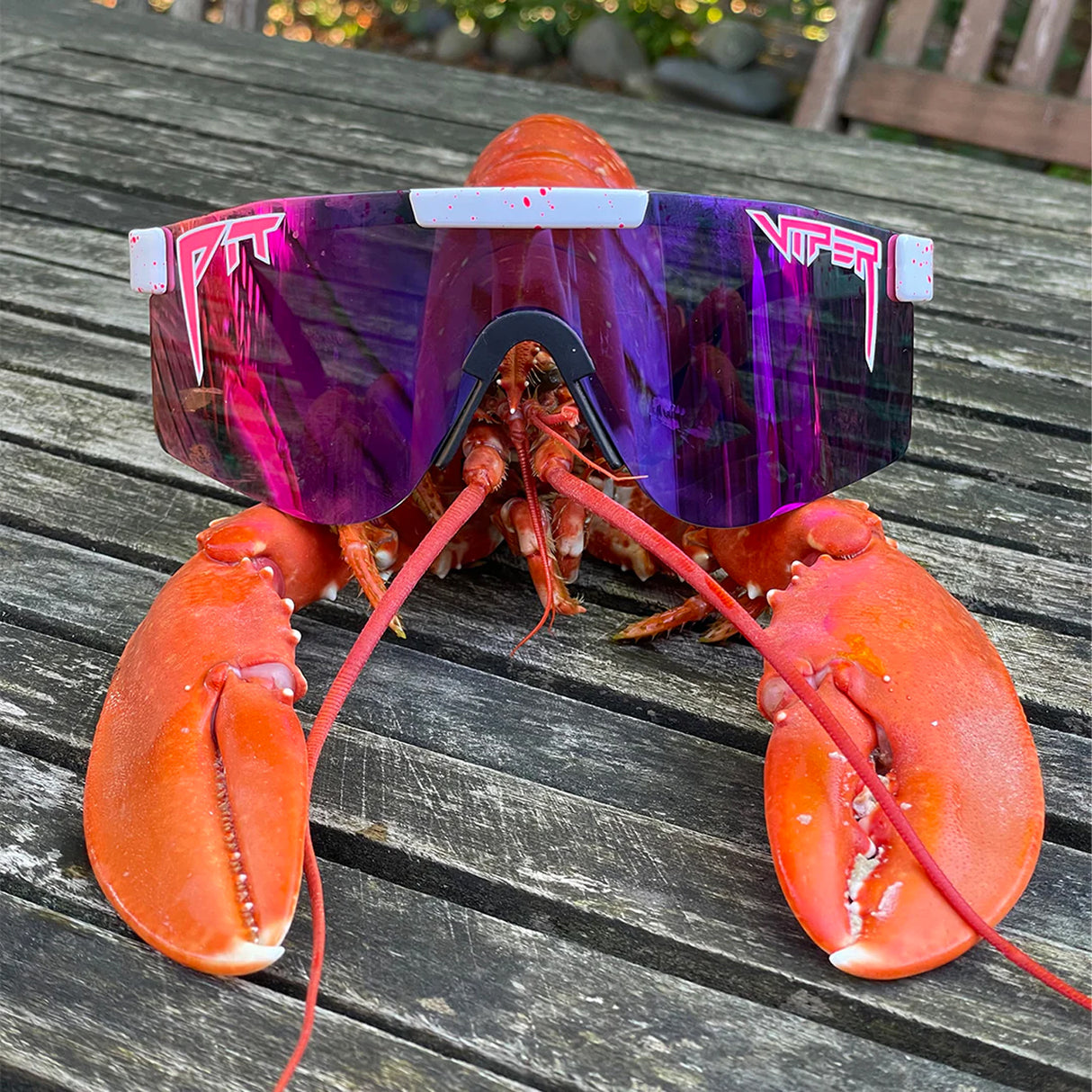 Occhiali Pit Viper The Originals - LA Brights - A