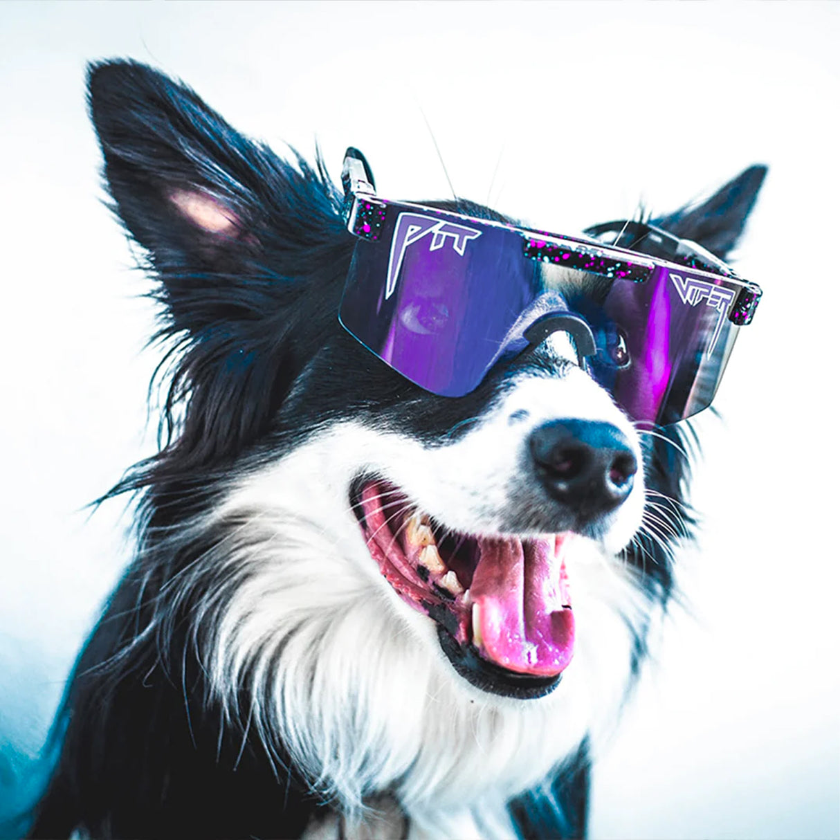 Occhiali Pit Viper The Originals - Night Fall - C