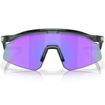 Oakley Hydra sunglasses - Crystal Black Prizm Violet