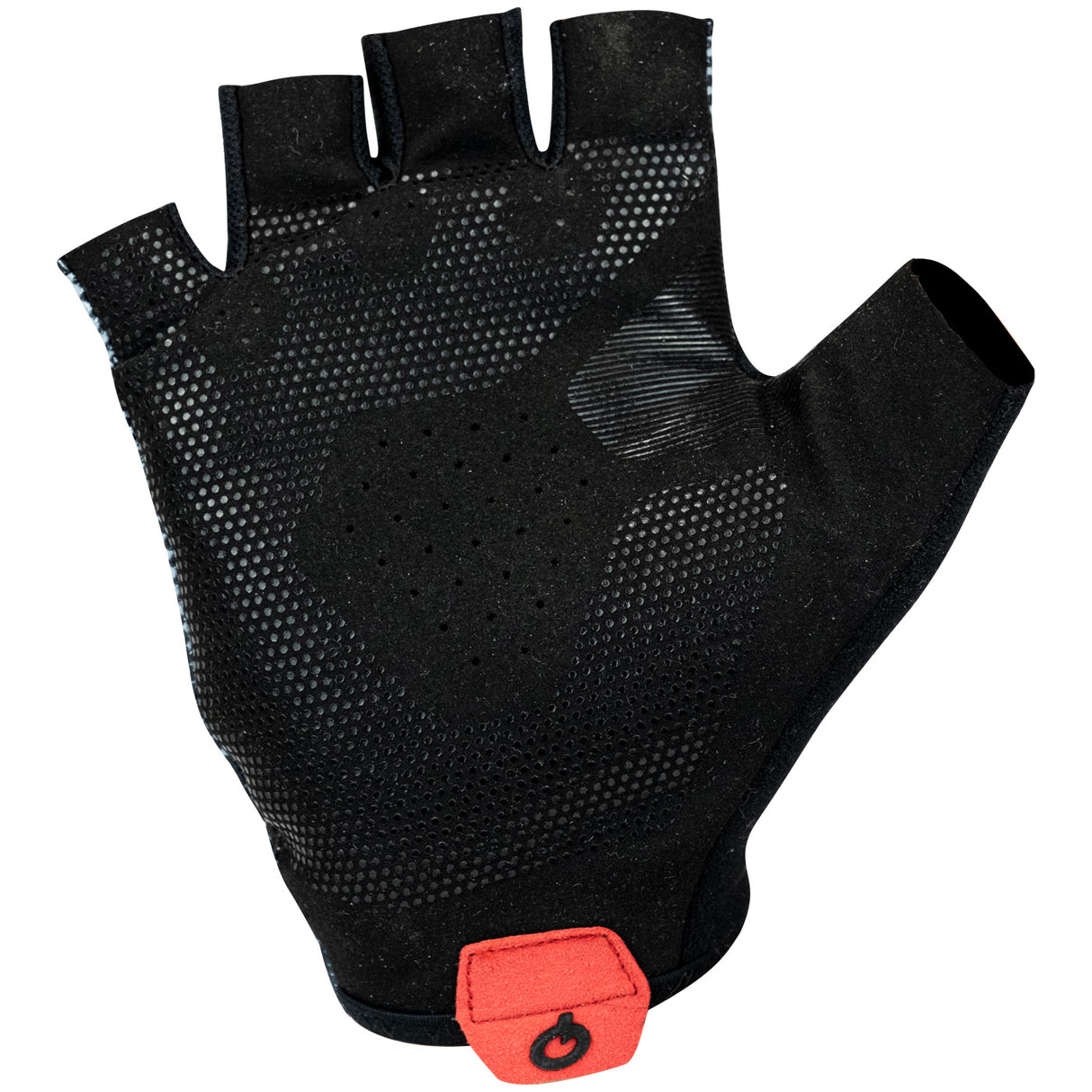 Guanti Prologo Blend Short Fingers - E