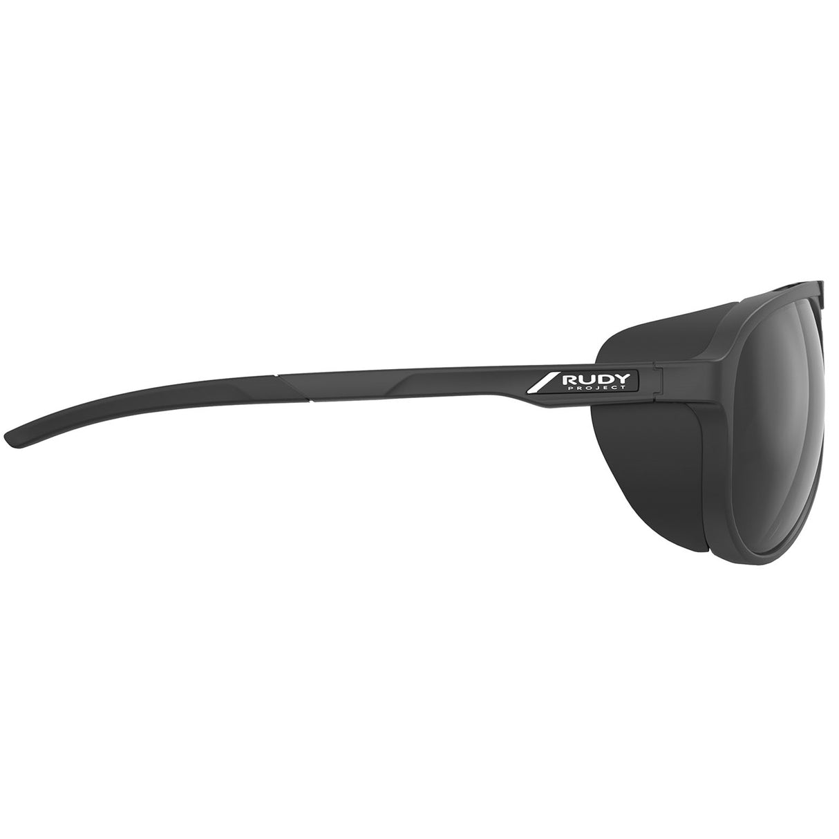 Occhiali Rudy Stardash - Black Smoke - C