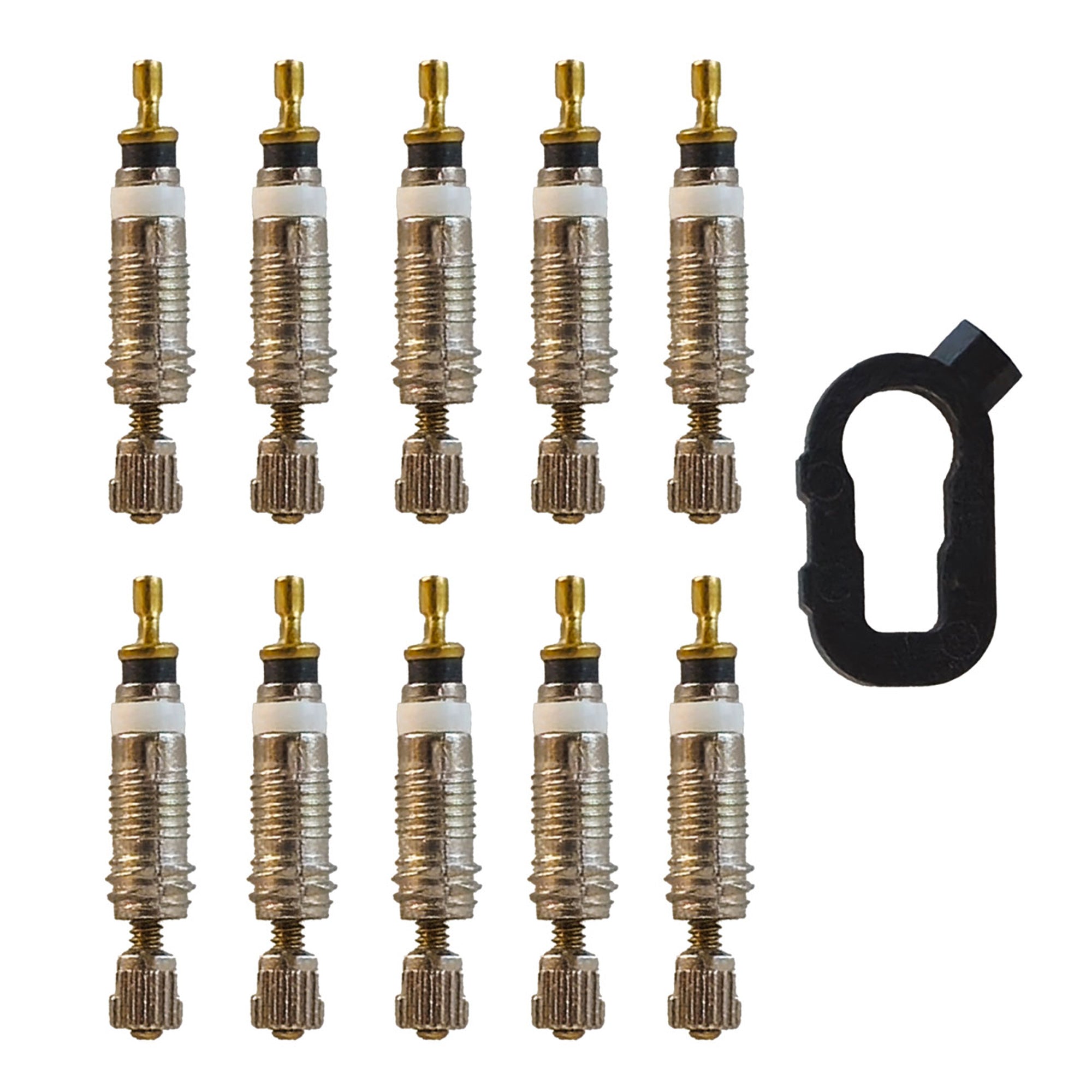 10 Interno Valvole Presta Campa Bros Campa Bros