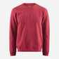 Felpa Pedaled Logo - Bordeaux - D