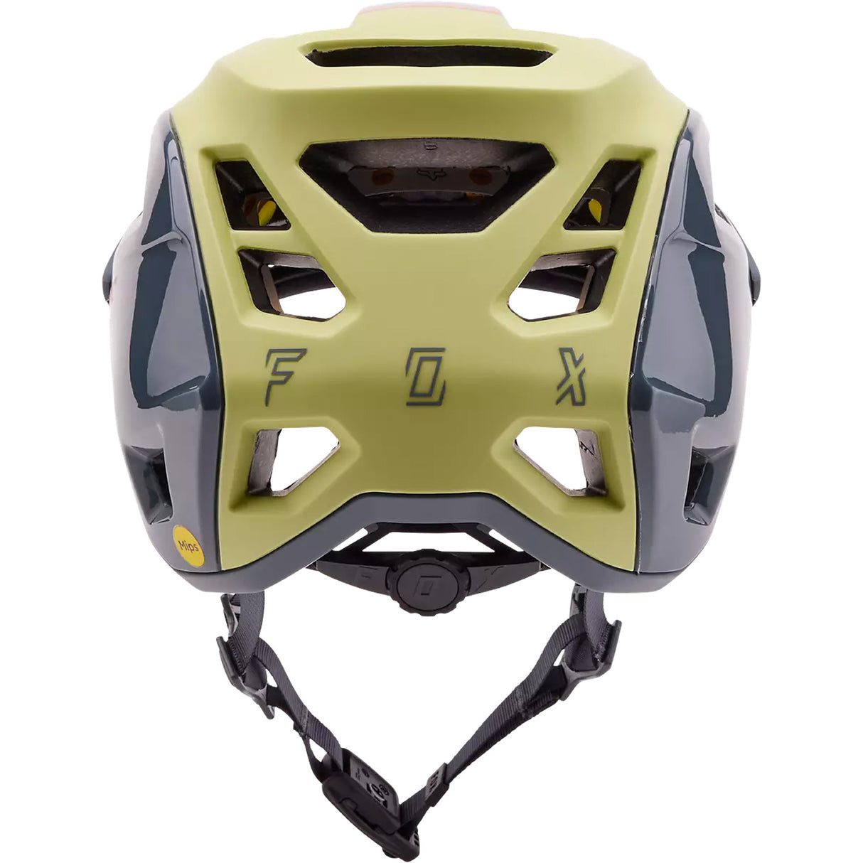 Casco Fox Speedframe Pro Mips Klif - Verde blu - C